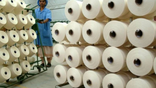 CottonSector